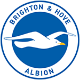 Brighton and Hove Albion FC Brighton and Hove Albion FC